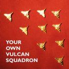 Squadron of 10 Gold Lapel Badges